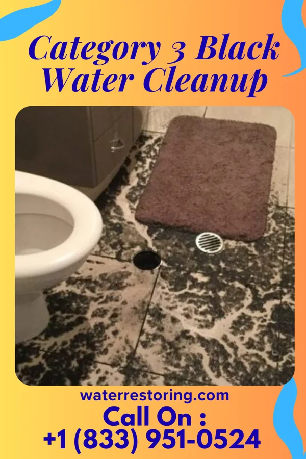 Category 3 Black Water Cleanup in Westwood, IA